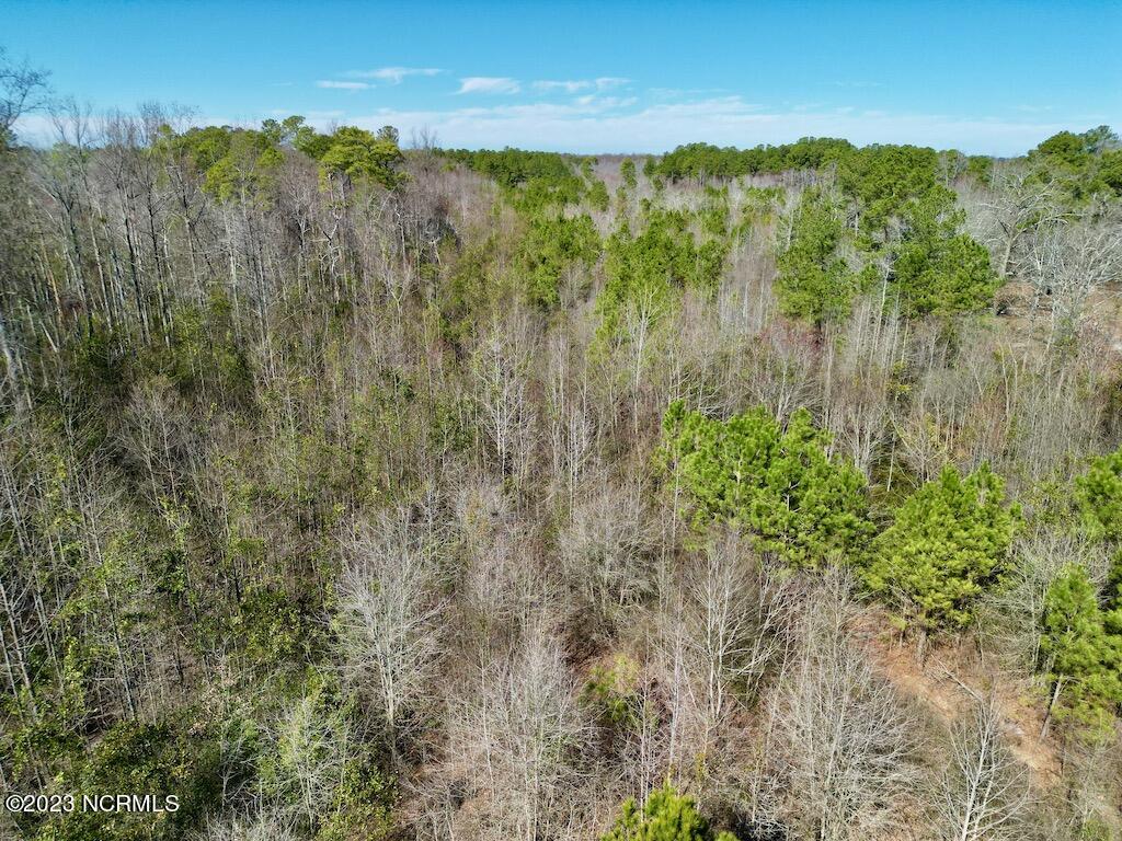 0 Sherman Road Maxton, NC 28364 - Photo 18 of 45 17