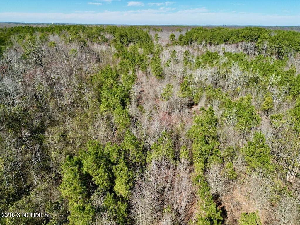 0 Sherman Road Maxton, NC 28364 - Photo 19 of 45 18