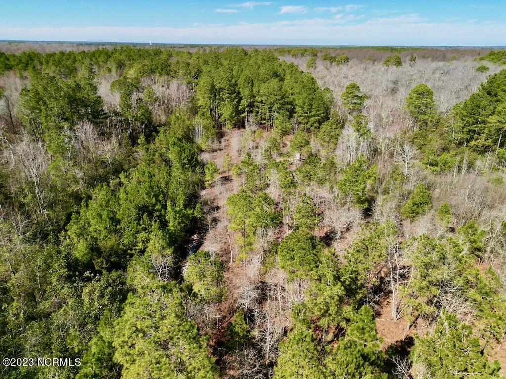 0 Sherman Road Maxton, NC 28364 - Photo 20 of 45 19