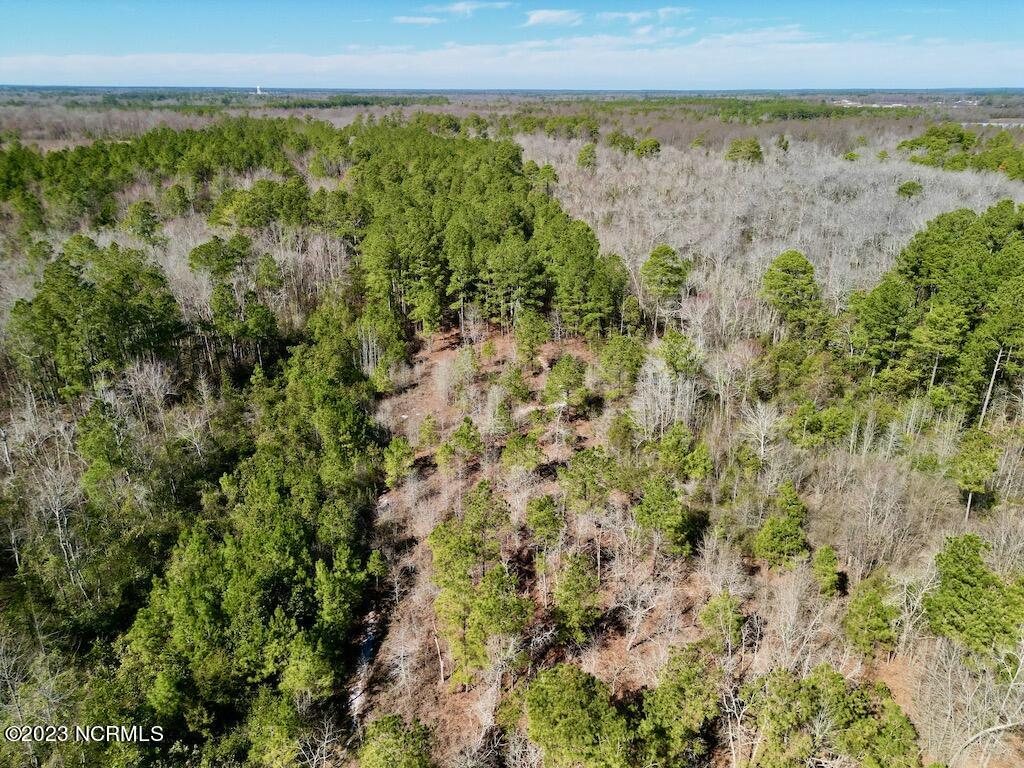 0 Sherman Road Maxton, NC 28364 - Photo 21 of 45 20