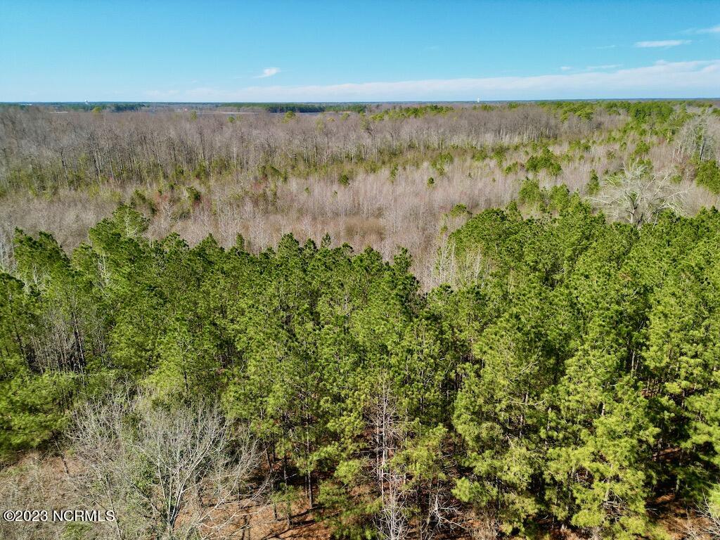 0 Sherman Road Maxton, NC 28364 - Photo 29 of 45 28