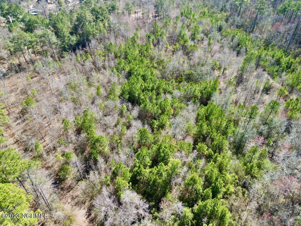 0 Sherman Road Maxton, NC 28364 - Photo 30 of 45 29