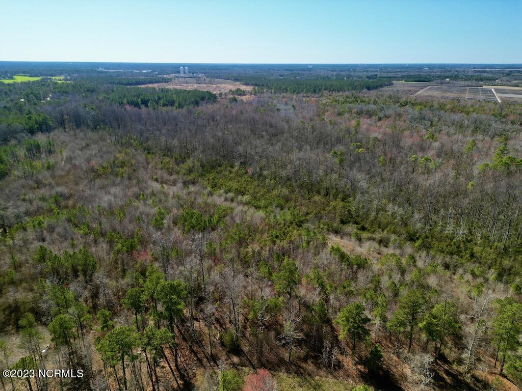 0 Sherman Road Maxton, NC 28364 - Photo 3 of 45 2
