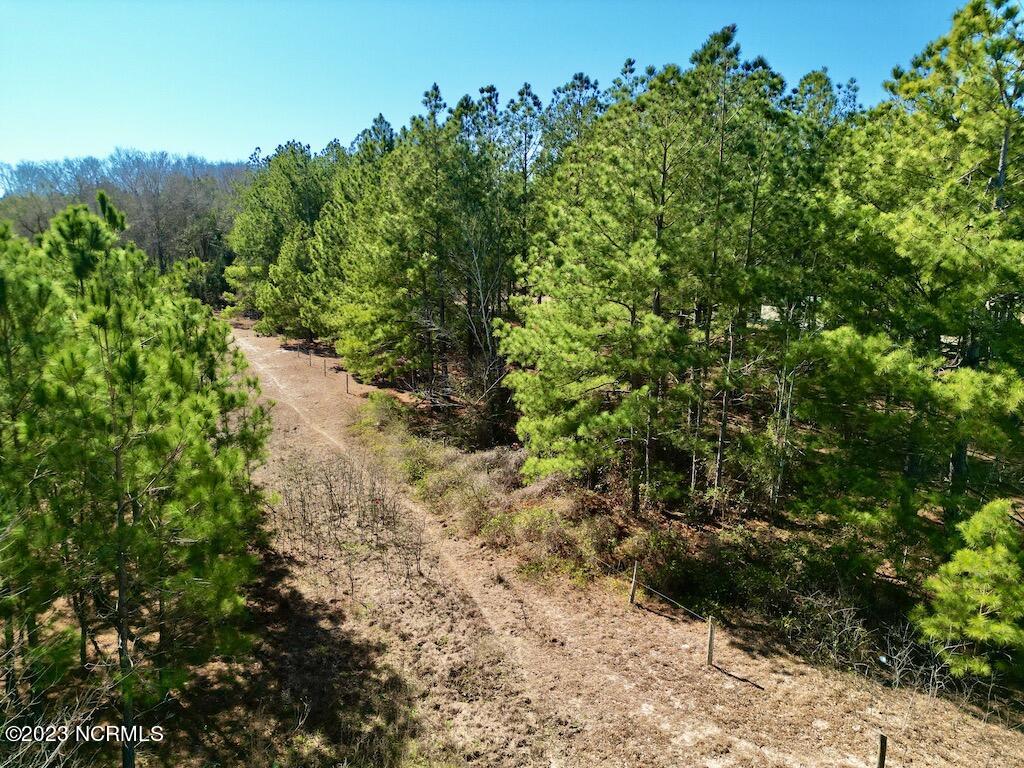 0 Sherman Road Maxton, NC 28364 - Photo 33 of 45 32