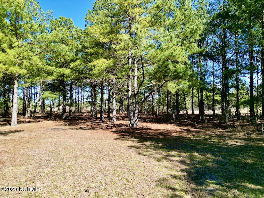 0 Sherman Road Maxton, NC 28364 - Photo 34 of 45 33