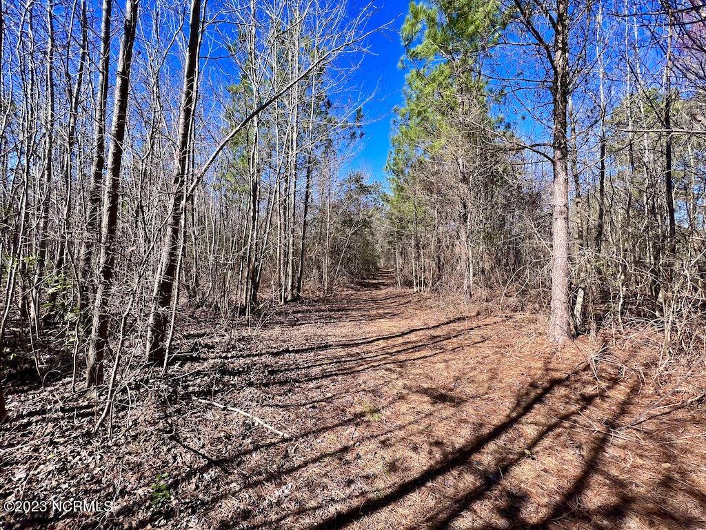 0 Sherman Road Maxton, NC 28364 - Photo 35 of 45 34