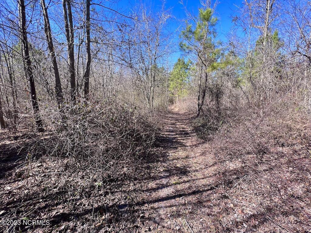 0 Sherman Road Maxton, NC 28364 - Photo 36 of 45 35