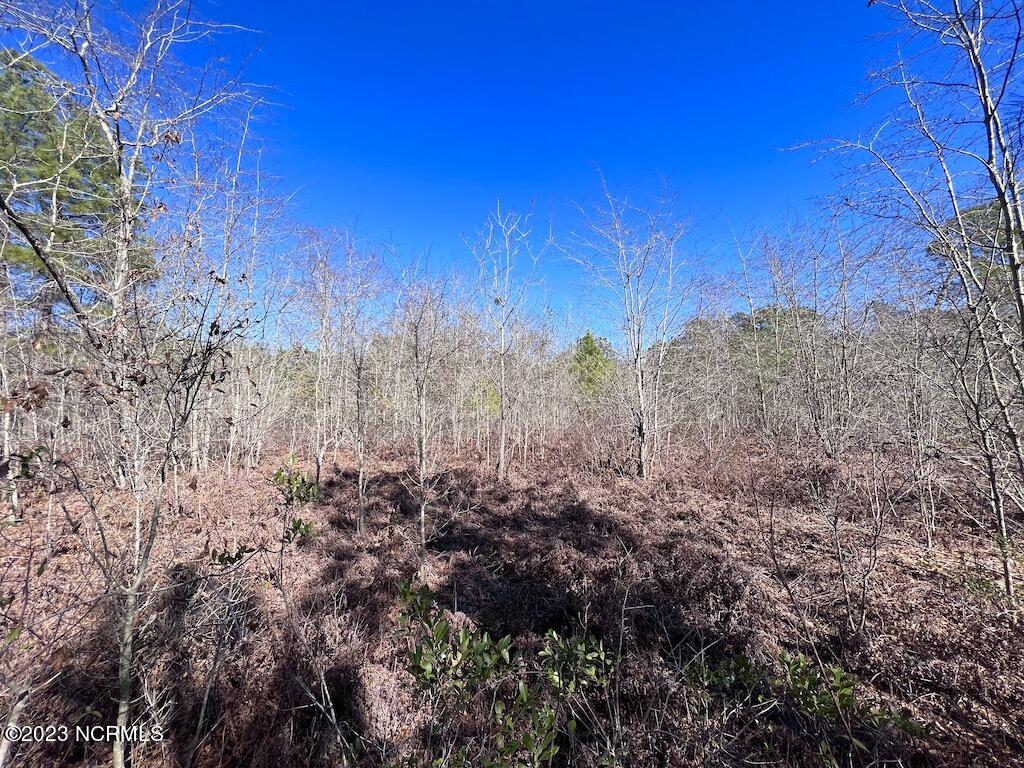 0 Sherman Road Maxton, NC 28364 - Photo 39 of 45 38