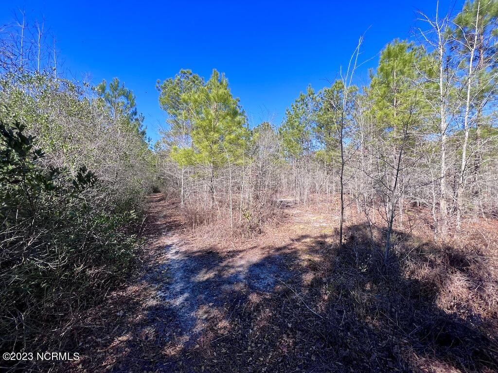 0 Sherman Road Maxton, NC 28364 - Photo 40 of 45 39