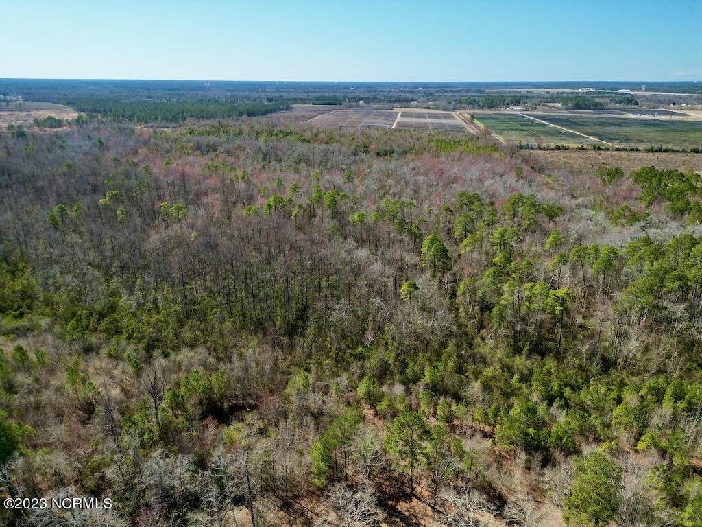 0 Sherman Road Maxton, NC 28364 - Photo 4 of 45 3