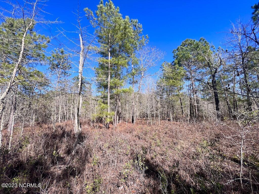 0 Sherman Road Maxton, NC 28364 - Photo 41 of 45 40
