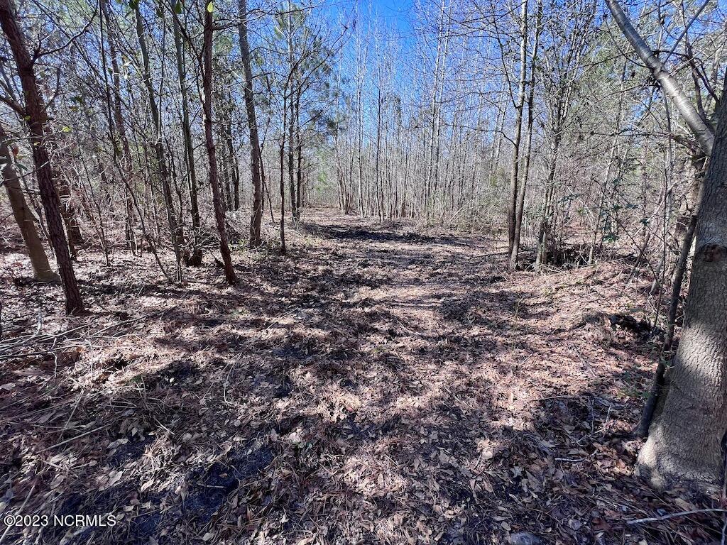 0 Sherman Road Maxton, NC 28364 - Photo 44 of 45 43