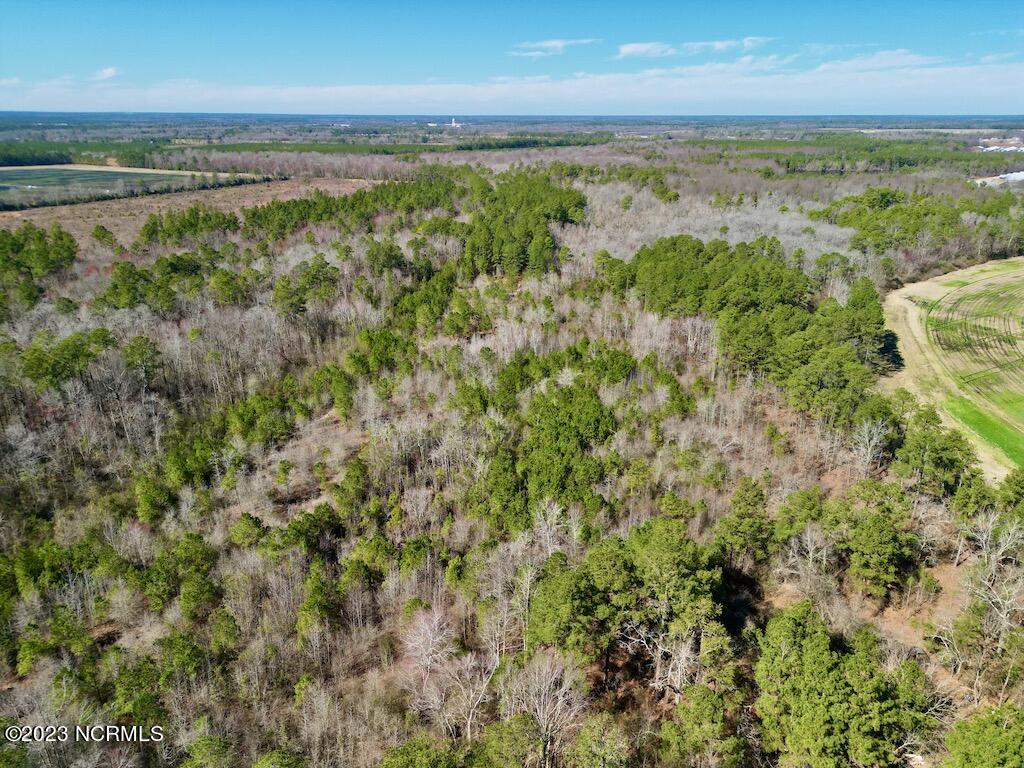 0 Sherman Road Maxton, NC 28364 - Photo 5 of 45 4