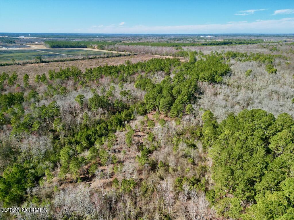 0 Sherman Road Maxton, NC 28364 - Photo 6 of 45 5