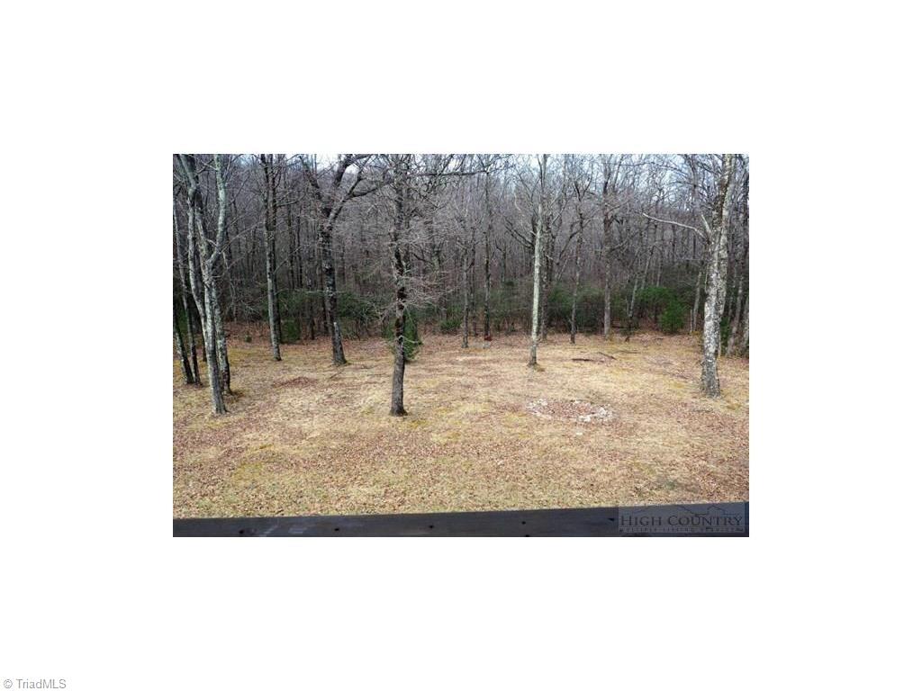 1087 Waterfall Road Sparta, NC 28675 - Photo 3 of 15 Gallery Image 3