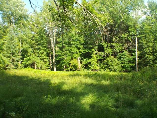 3.6-acre Maywood Road Deerbrook, WI 54424 - Photo 15 of 20 Gallery Image 15