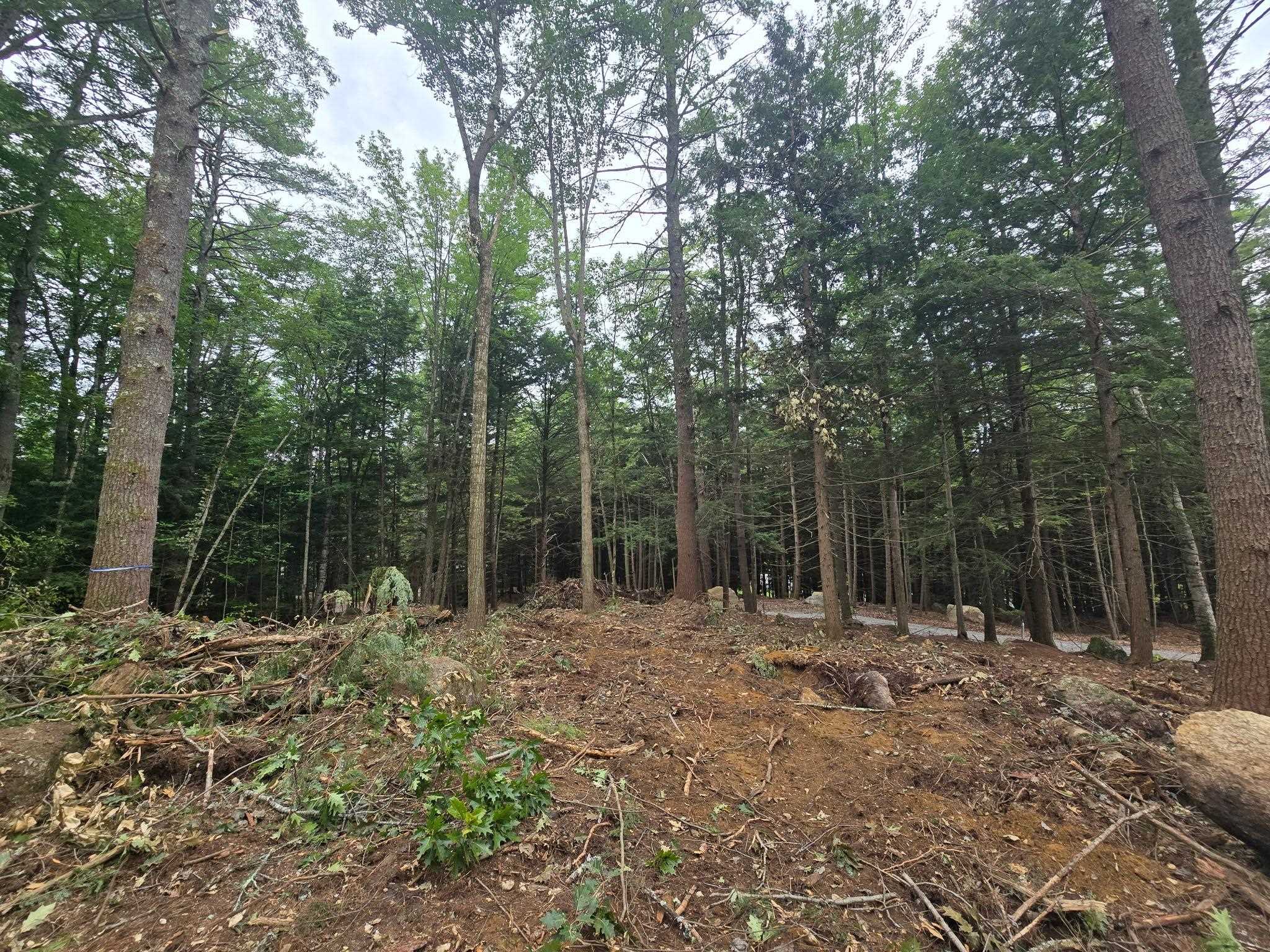 Lot 36 Beaver Dam Road New Hampton, NH 03256 - Photo 7 of 15 Gallery Image 7