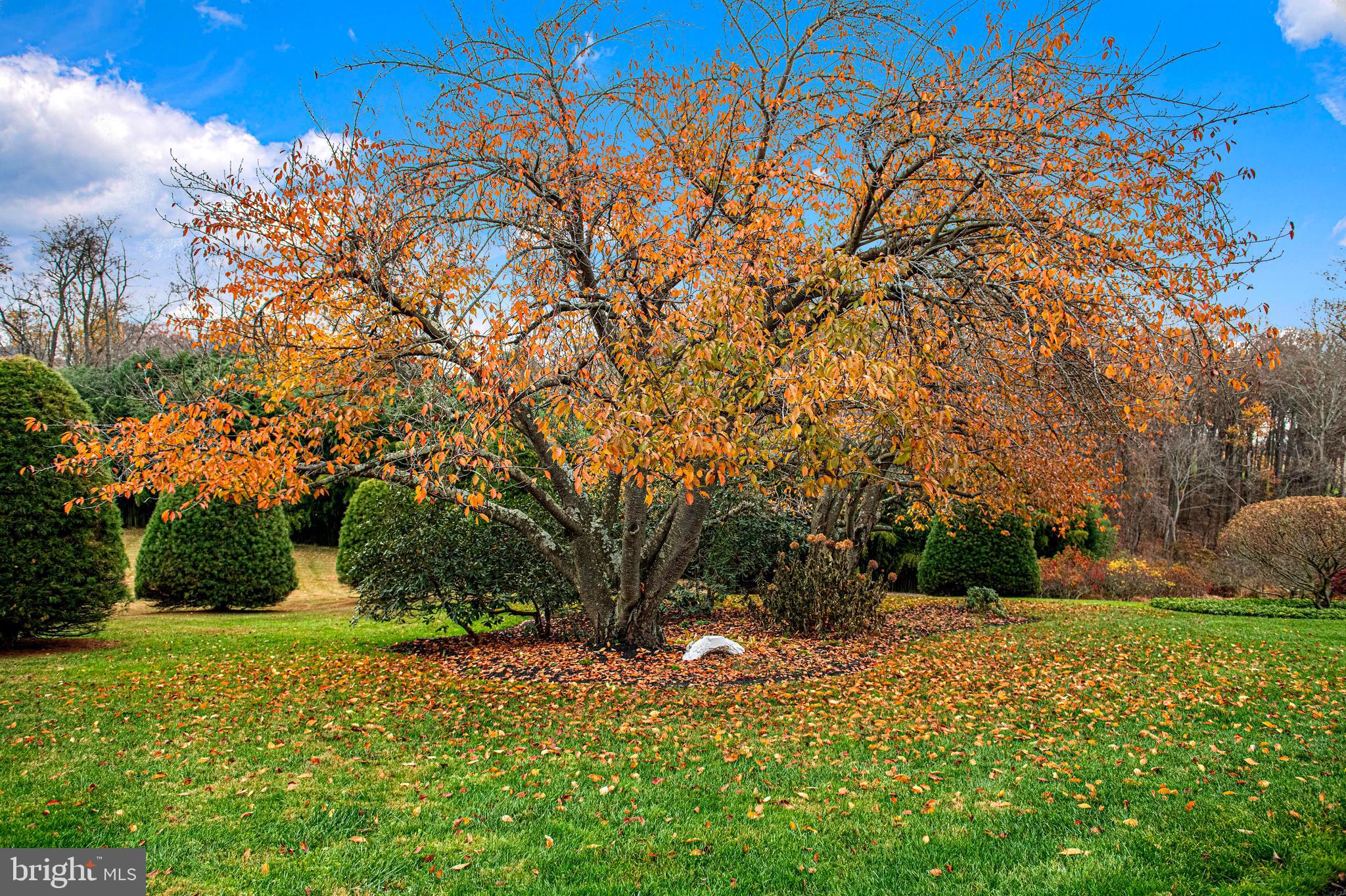 3745 Burkins Road Street, MD 21154 - Photo 46 of 60 Gallery Image 46