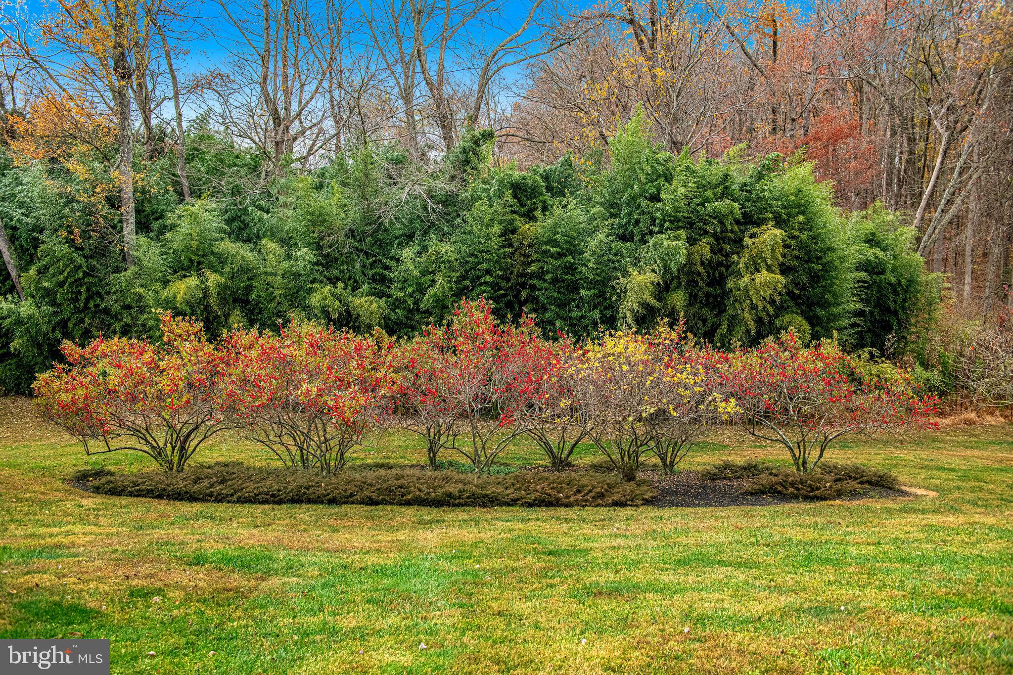3745 Burkins Road Street, MD 21154 - Photo 47 of 60 Gallery Image 47