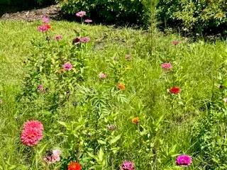 a view of a green field with clear sky