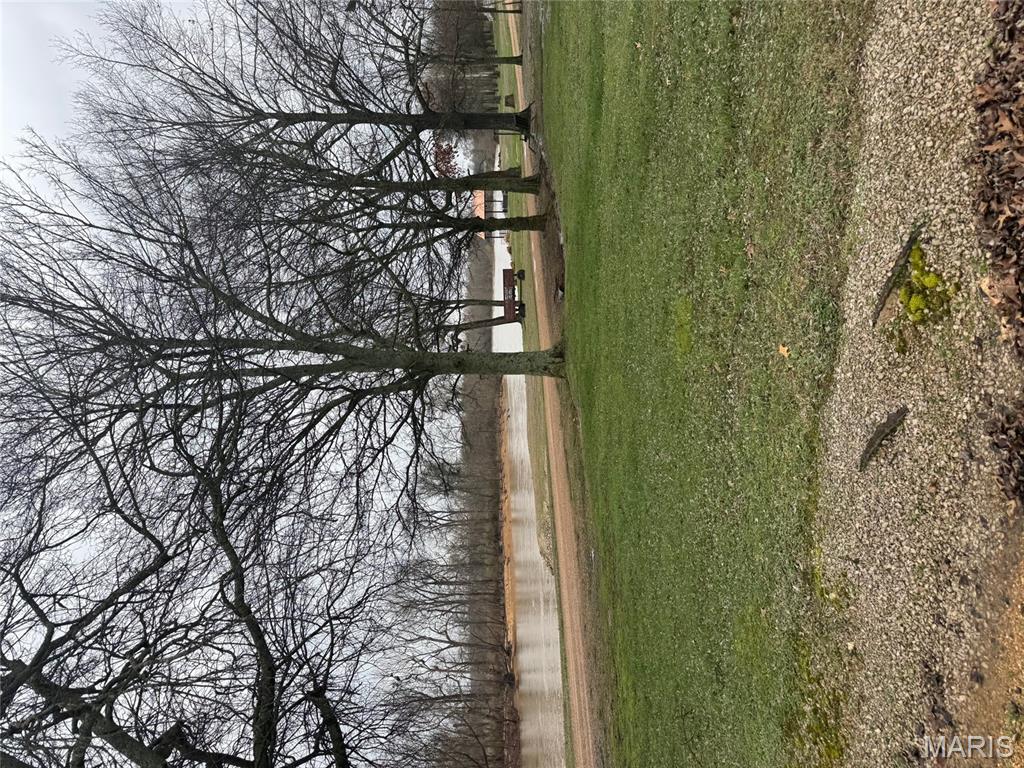 201 Ripley Route East Doniphan, MO 63935 - Photo 2 of 18