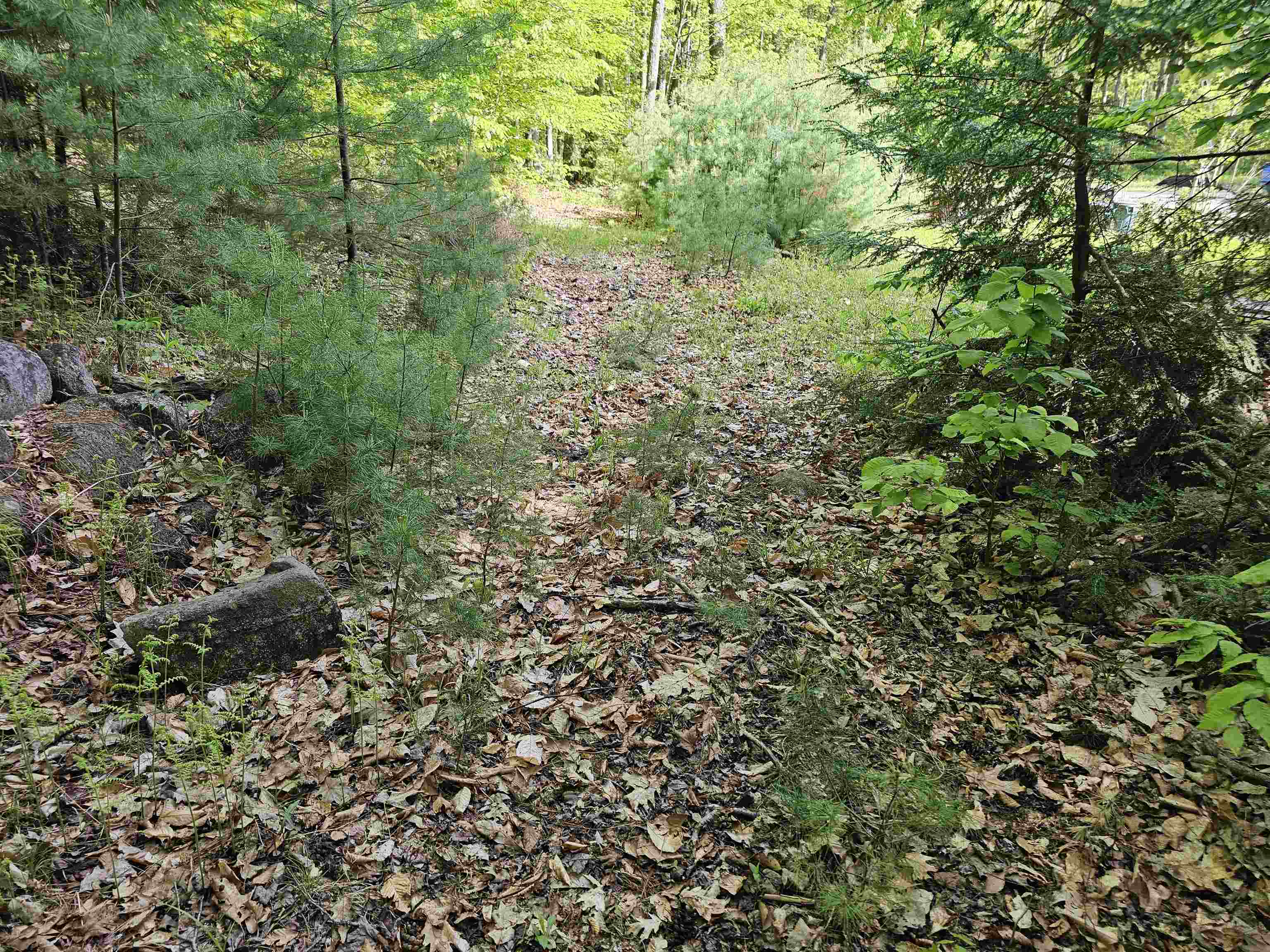 Lot 26 Province Road Belmont, NH 03220 - Photo 31 of 38 Gallery Image 31