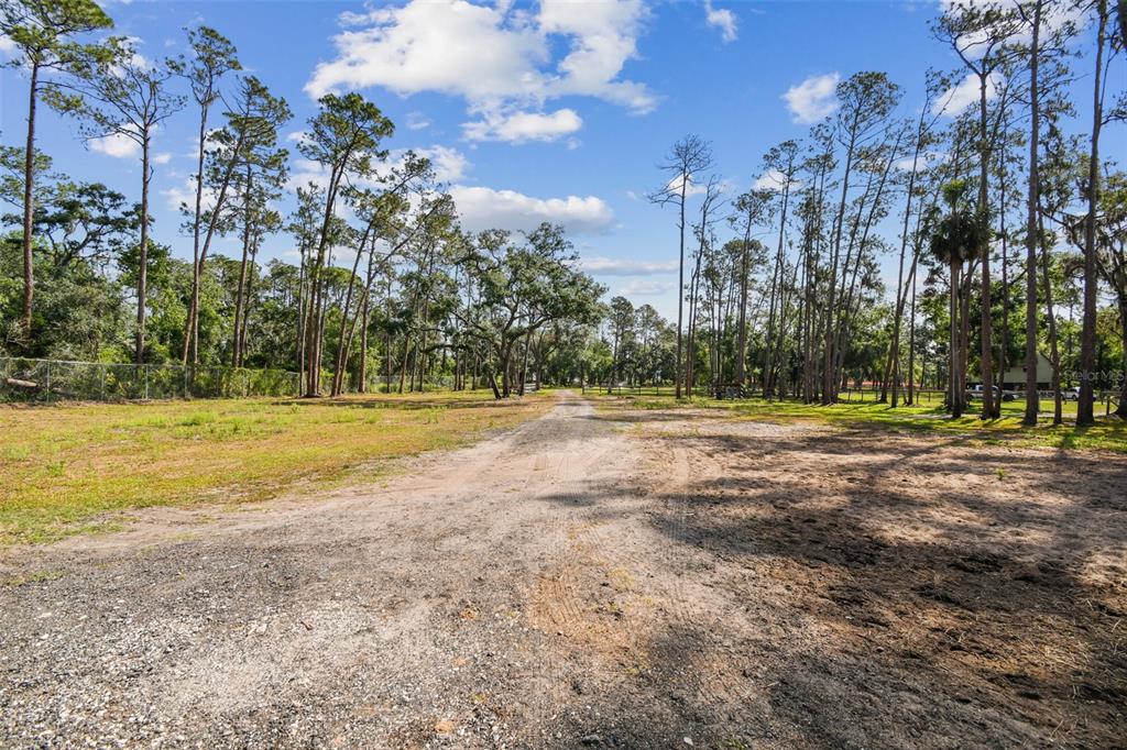 2853 Saffold Road Wimauma, FL 33598 - Photo 6 of 62 a view of a park with large trees