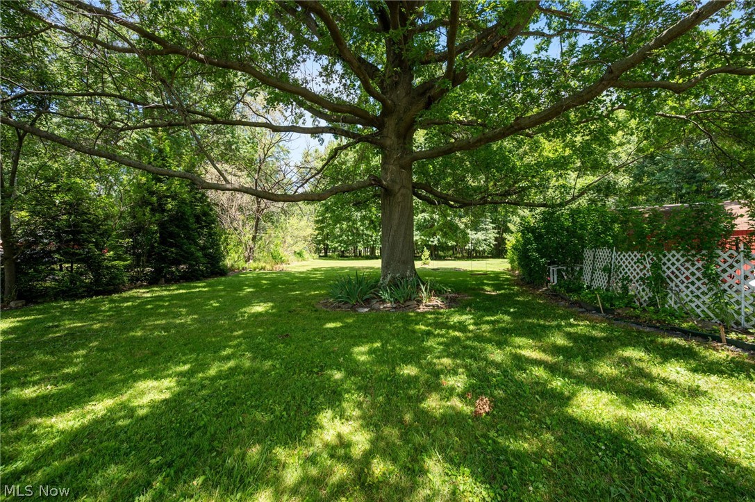 5950 Parkman Road Northwest Warren, OH 44481 - Photo 32 of 35