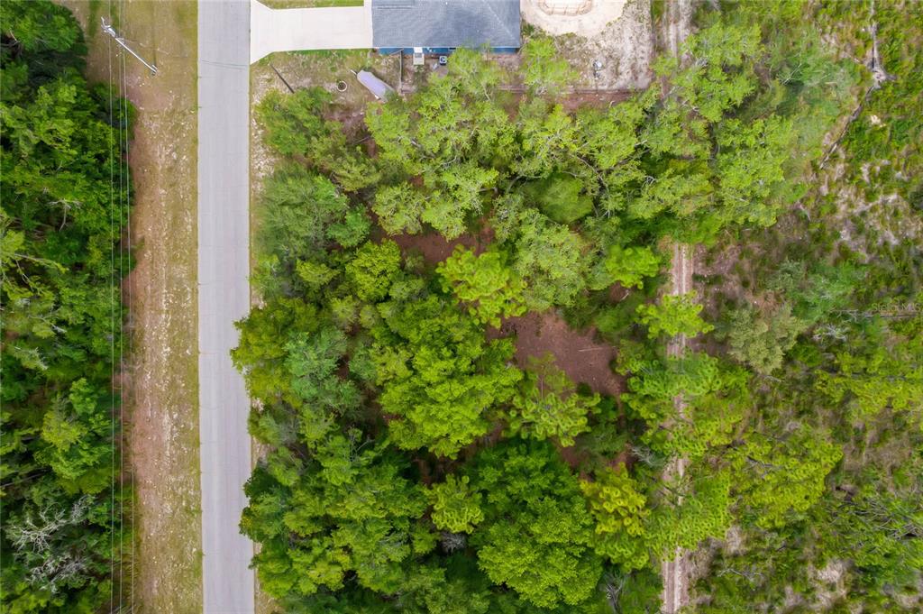 Southwest 128th Loop Ocala, FL 34473 - Photo 1 of 1