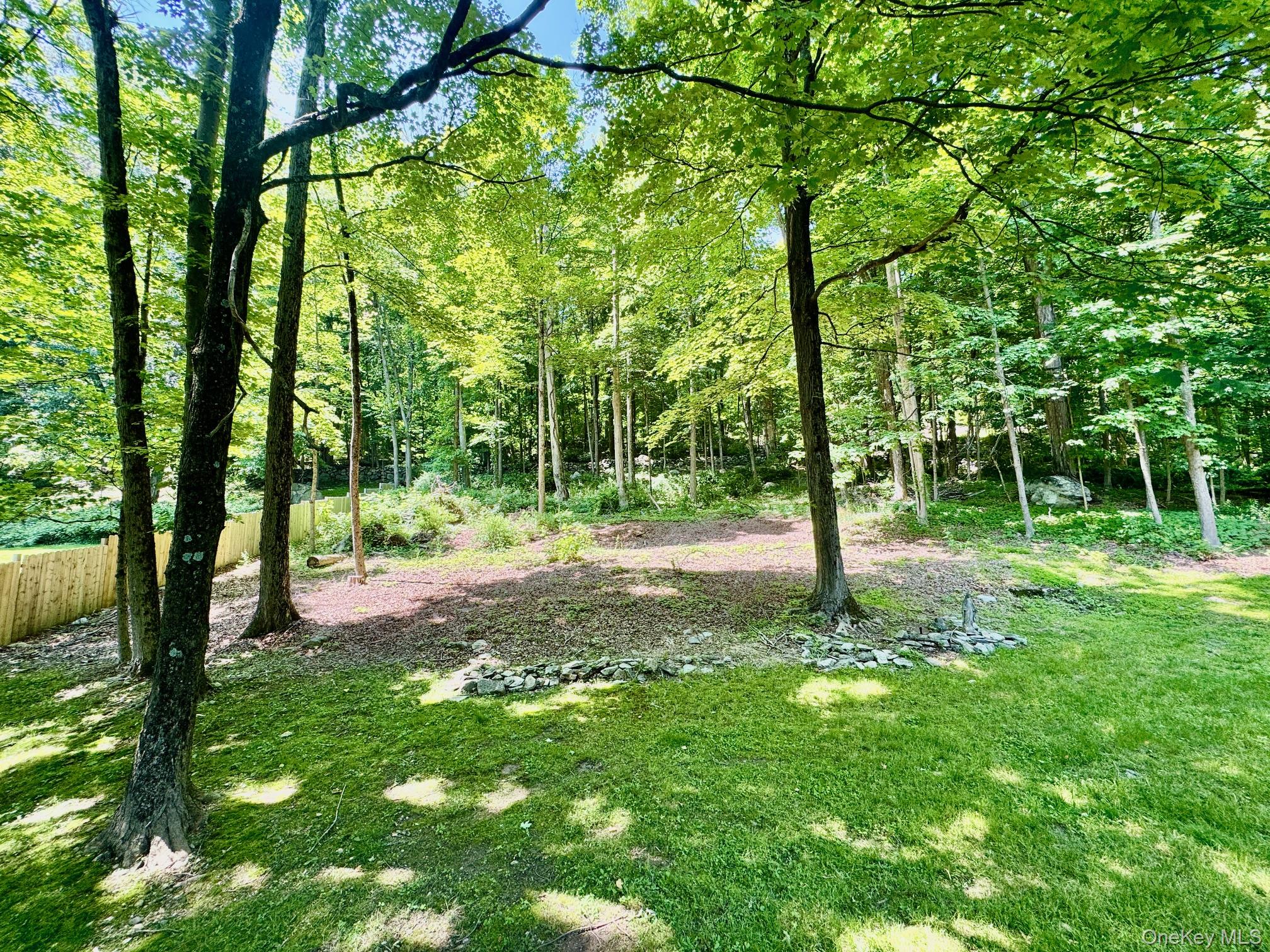 687 Sprout Brook Road Putnam Valley, NY 10579 - Photo 35 of 45 a view of a tree with a backyard