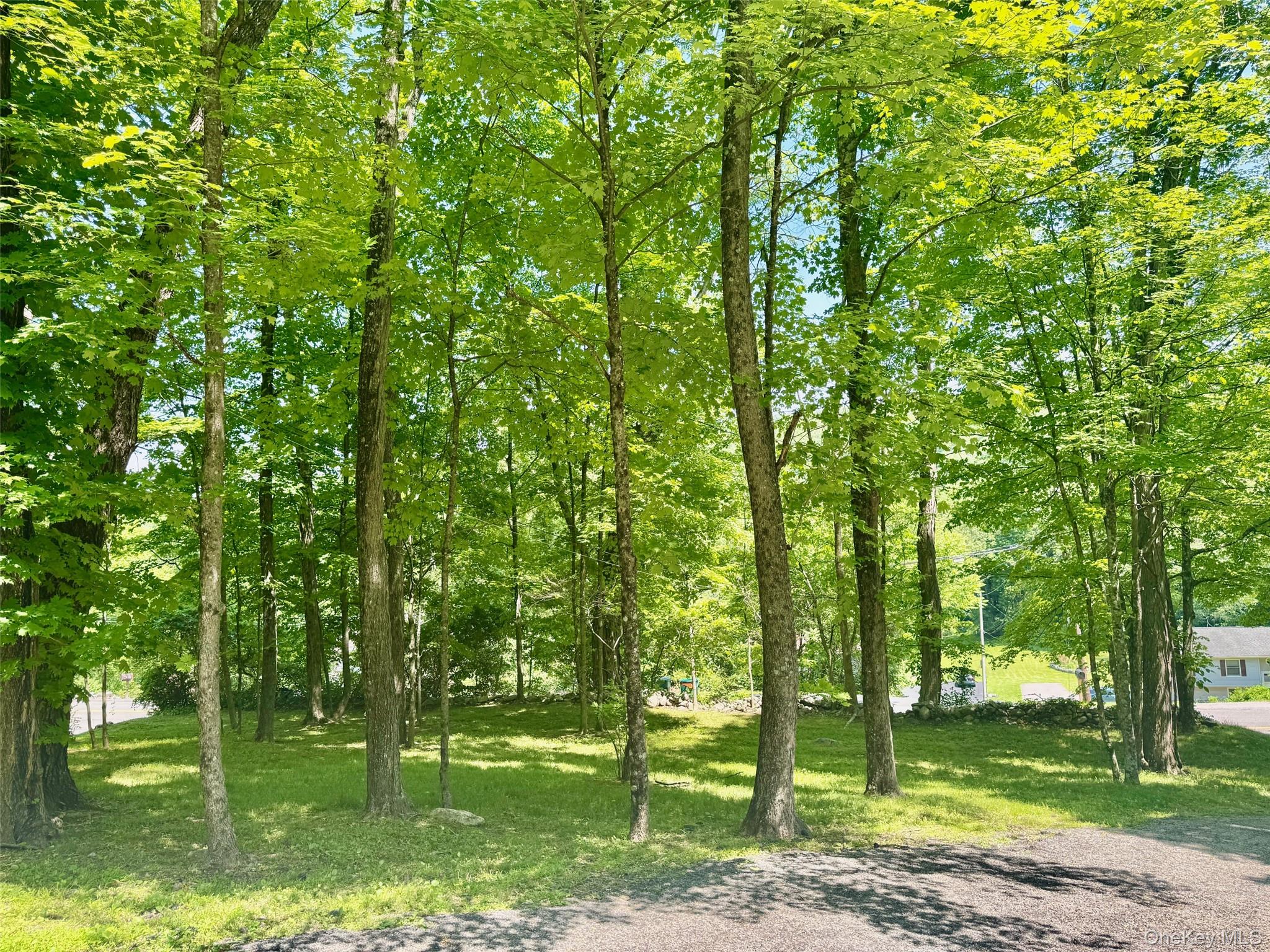 687 Sprout Brook Road Putnam Valley, NY 10579 - Photo 37 of 45 a view of a park with large trees