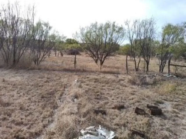 a view of yard with trees
