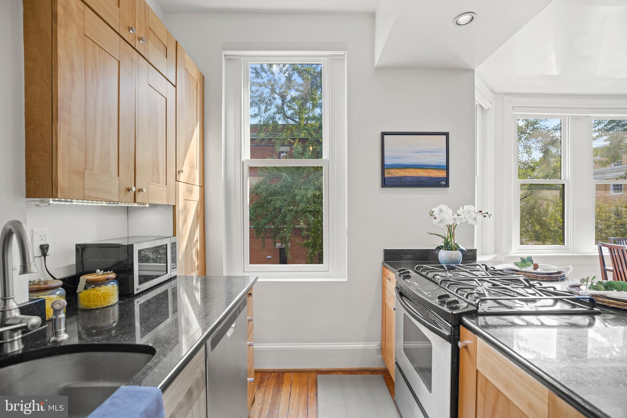 1737 Riggs Place Northwest, Unit C Washington, DC 20009 - Photo 12 of 20 Gallery Image 12