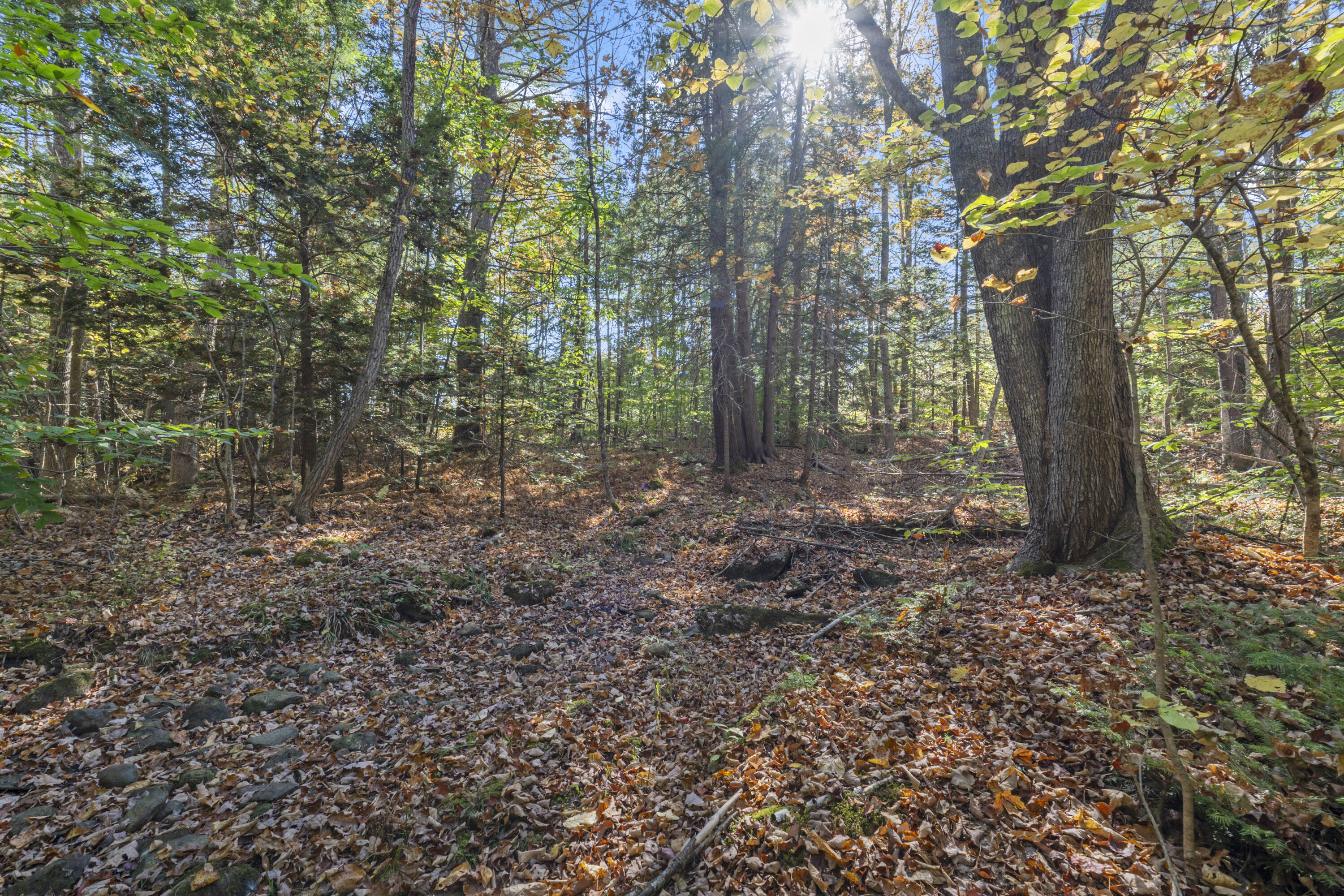 215 Ward Road Topsham, ME 04086 - Photo 4 of 32 Land photos