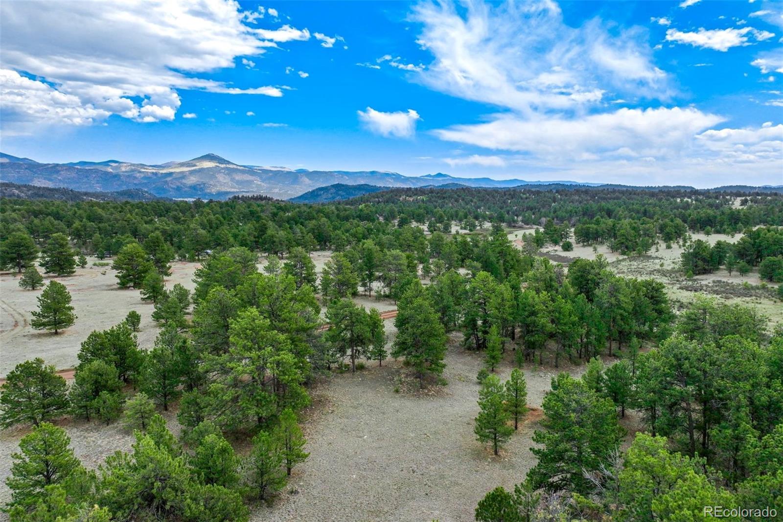 103 Doe Valley Road Guffey, CO 80820 - Photo 28 of 46