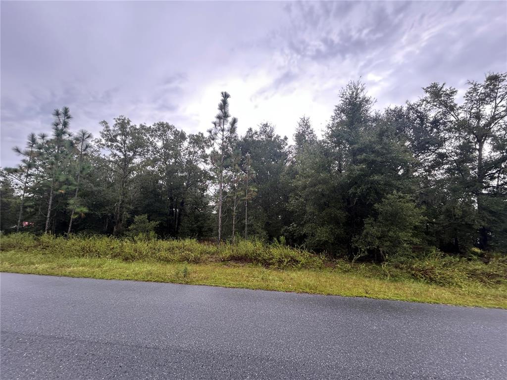 Southwest 140th Court Ocala, FL 34481 - Photo 2 of 7 a view of a yard