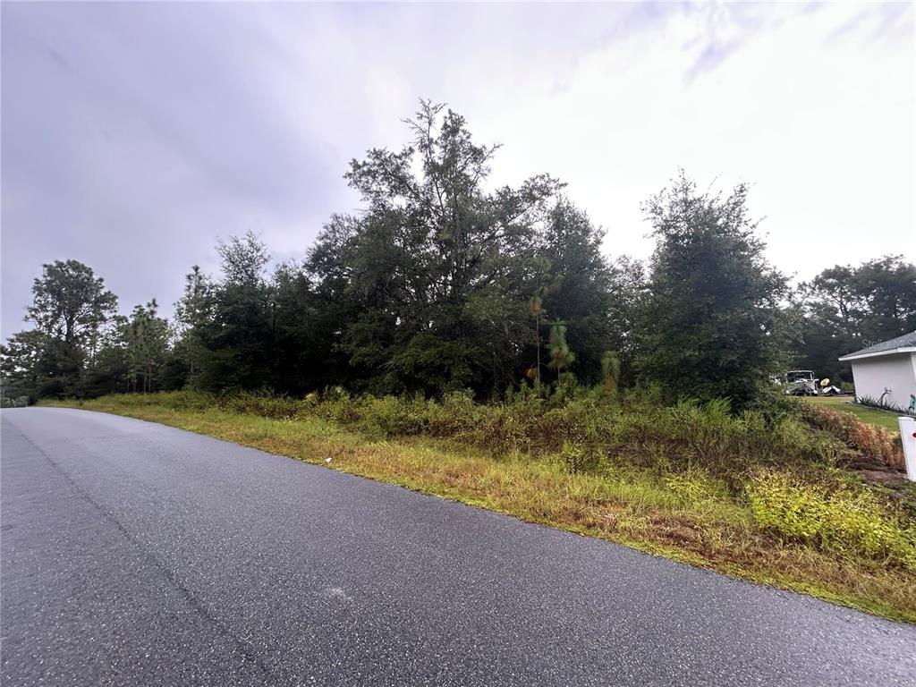 Southwest 140th Court Ocala, FL 34481 - Photo 3 of 7 a view of yard with trees