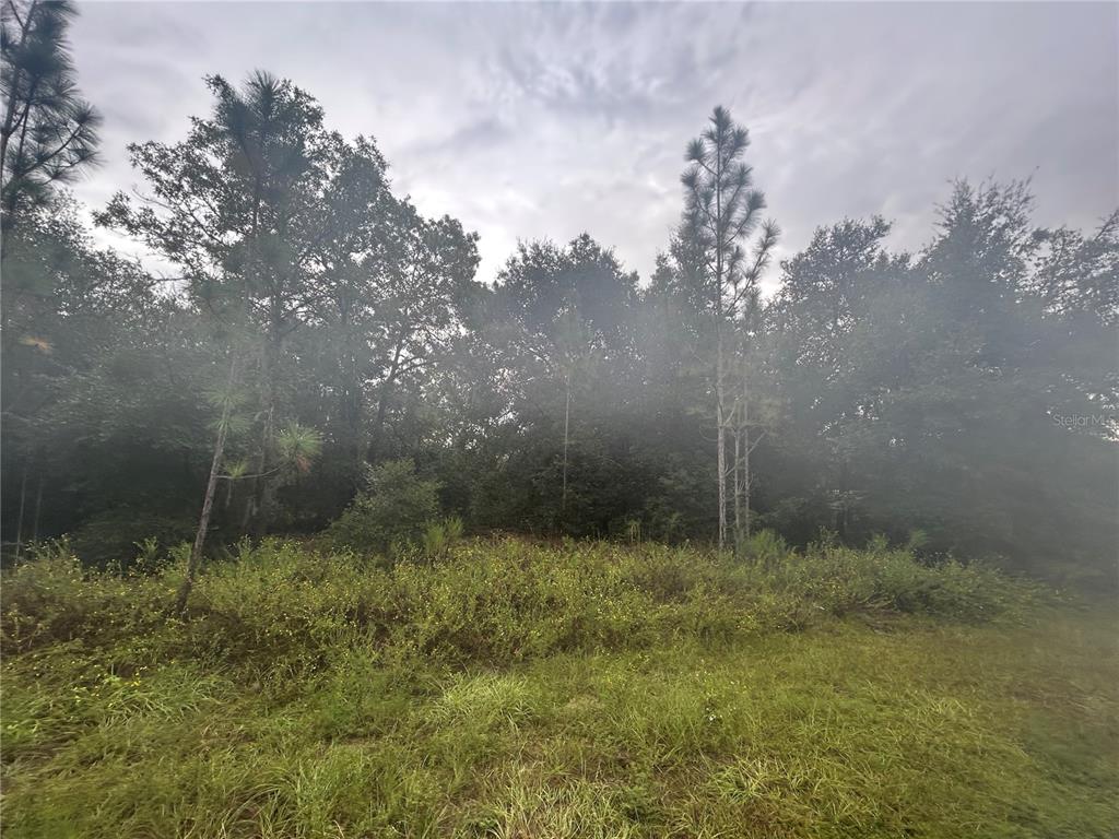 Southwest 140th Court Ocala, FL 34481 - Photo 5 of 7 a view of outdoor space and yard