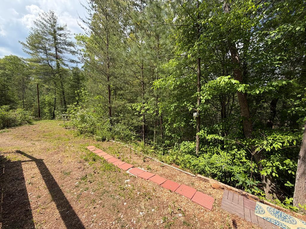 294 Pioneer Ests Road Murphy, NC 28906 - Photo 30 of 36