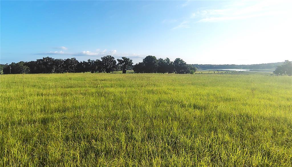 Covington Road Dade City, FL 33525 - Photo 12 of 14 a view of an ocean from a yard