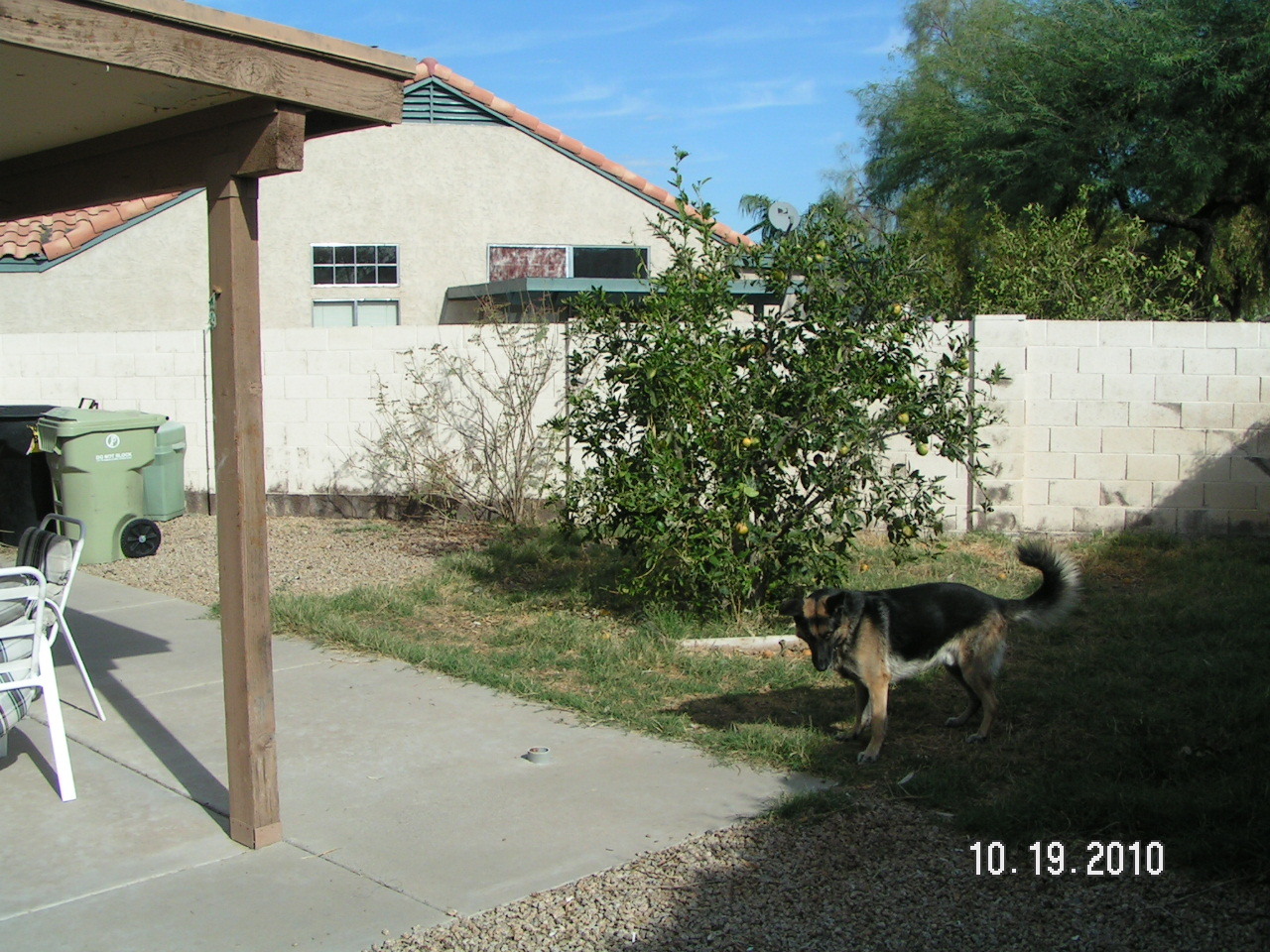 6009 West Shangri-la Road Glendale, AZ 85304 - Photo 9 of 10 a backyard of a house with table and chairs