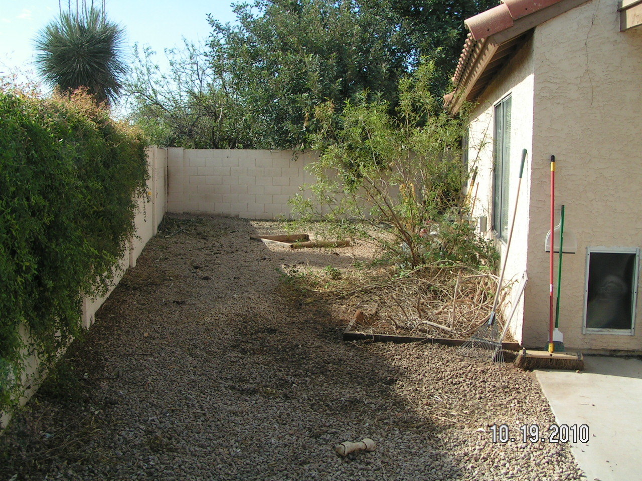 6009 West Shangri-la Road Glendale, AZ 85304 - Photo 10 of 10 a view of a yard with plants and trees