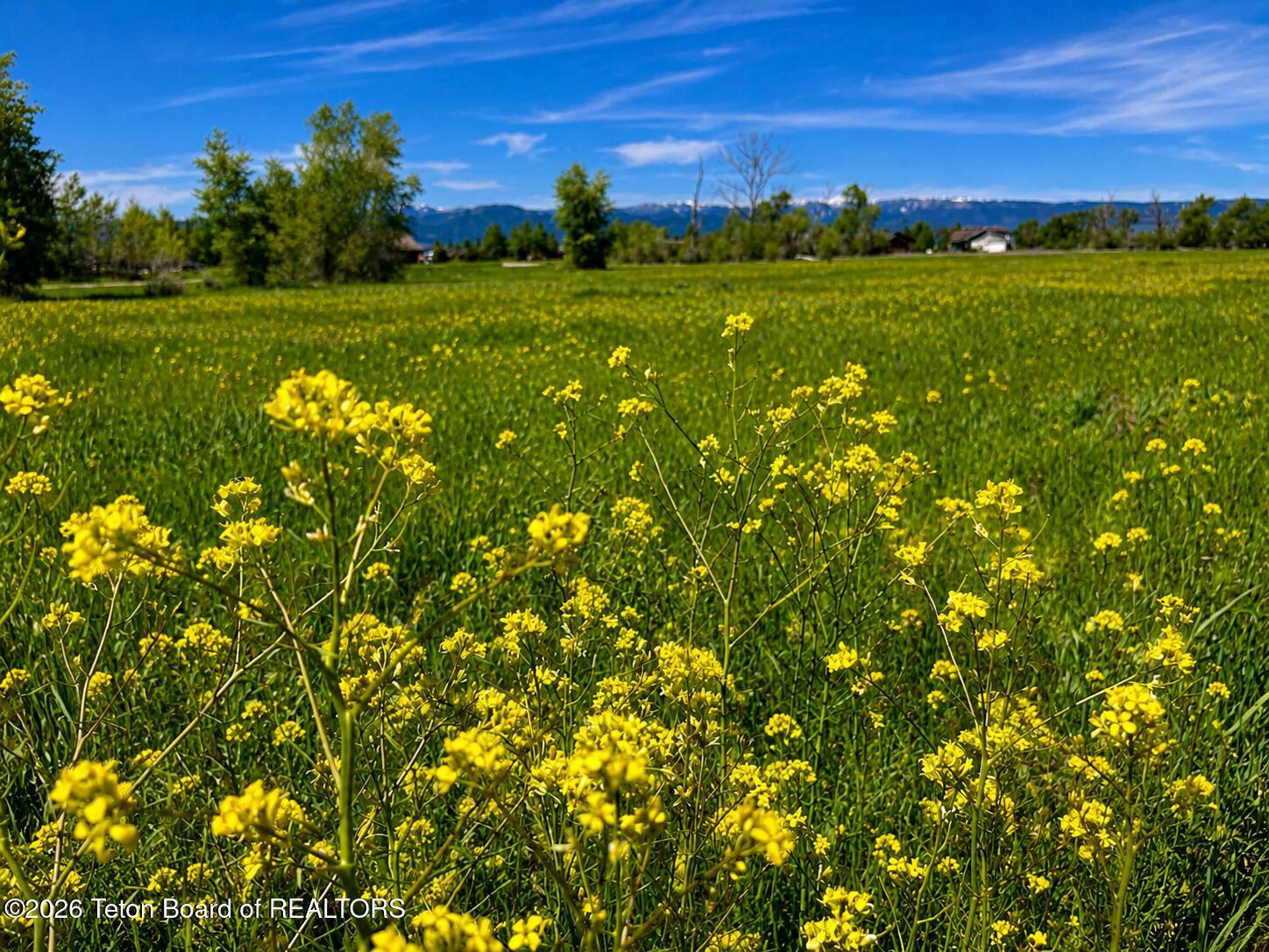 770 Cobblecrest Road Driggs, ID 83422 - Photo 4 of 4 7BC0D643-181A-48F6-B80C-2FAF15F190CF