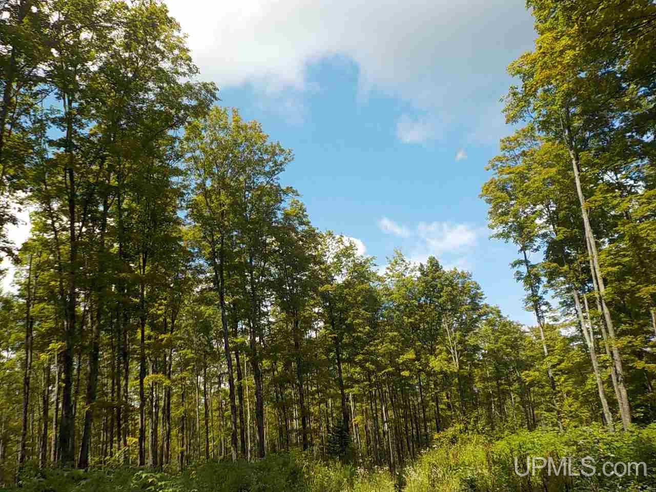 80-ac Mcclaren Road Crystal Falls, MI 49920 - Photo 8 of 27