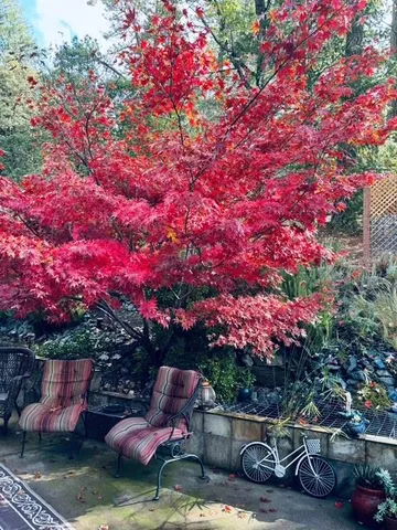 $640,000 | 1110 Madrone Lane, Placerville, CA 95667