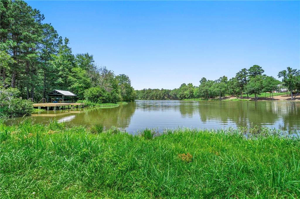 111 Watercolor Drive Fayetteville, GA 30215 - Photo 87 of 92