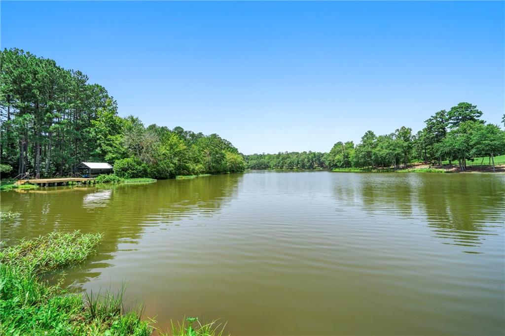 111 Watercolor Drive Fayetteville, GA 30215 - Photo 89 of 92