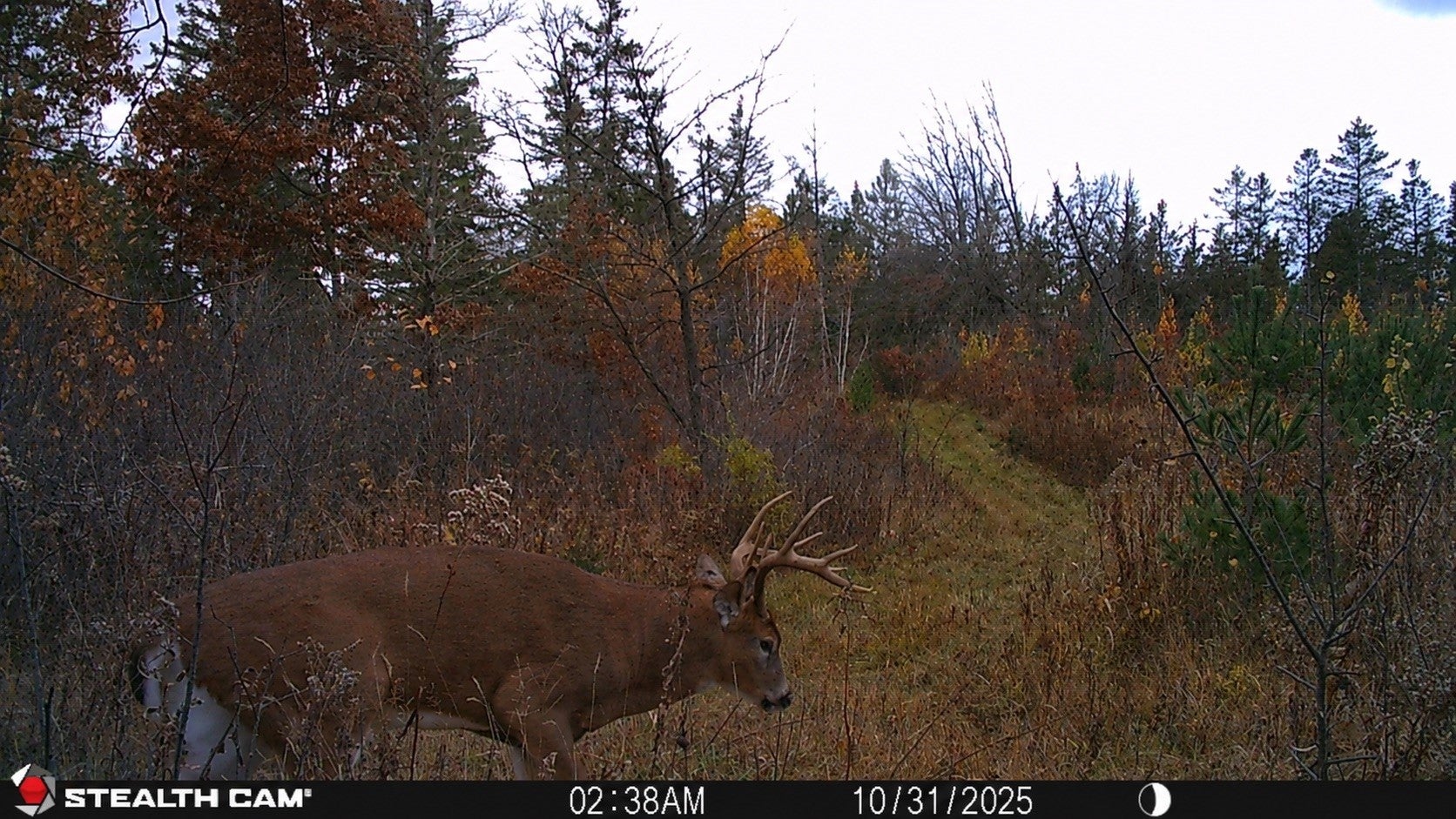 Tbd 27th Street Chetek, WI 54728 - Photo 11 of 55 Gallery Image 11