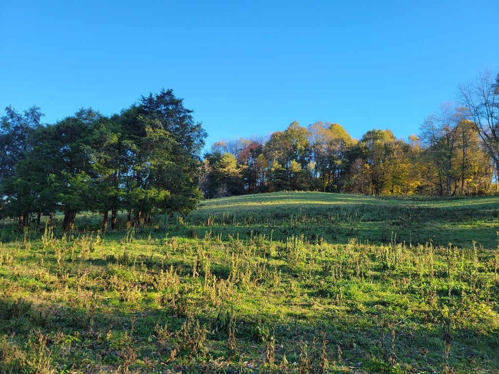 Tbd Reedy Creek Road Bristol, VA 24202 - Photo 21 of 28 Gallery Image 21