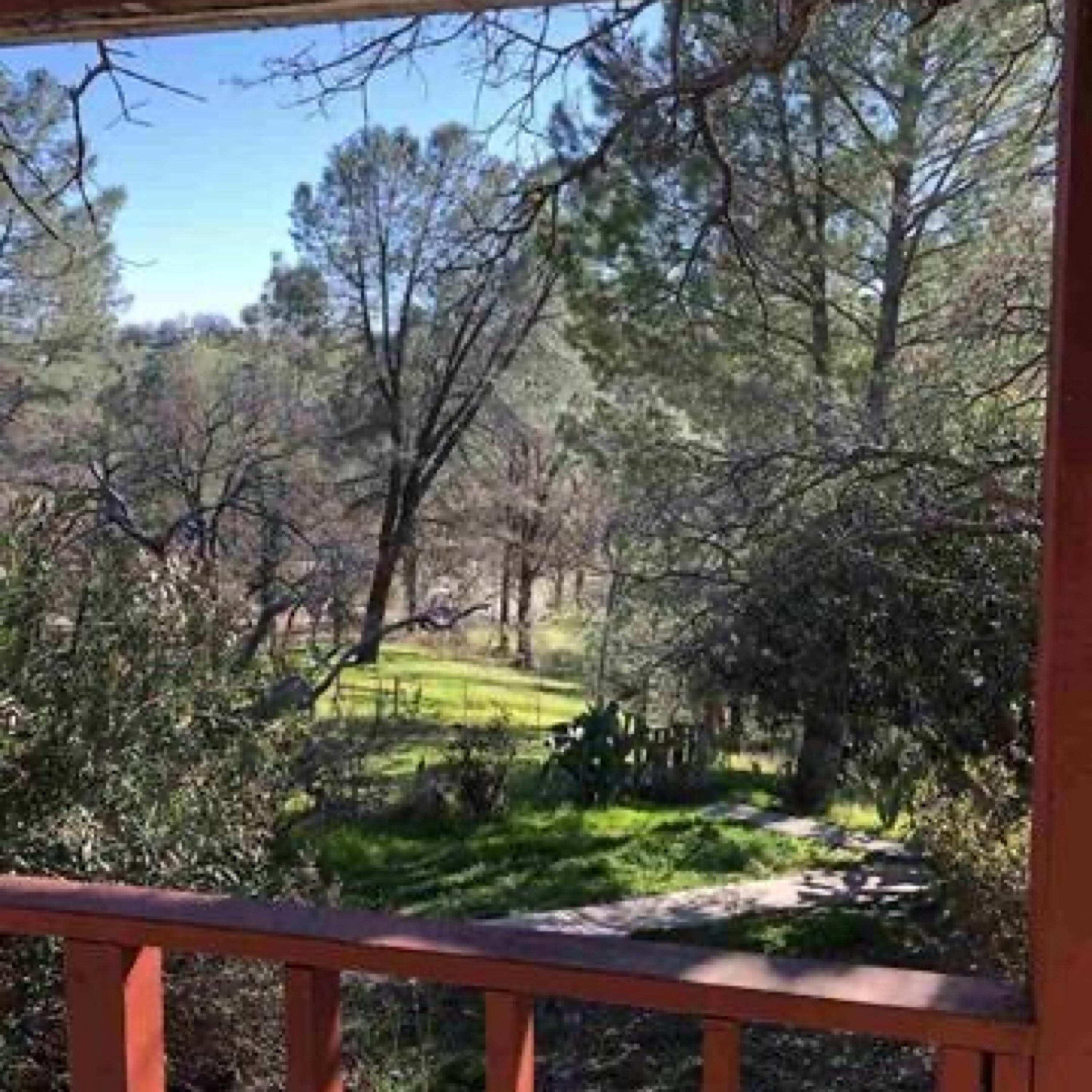 7395 Cardinal Road Corning, CA 96021 - Photo 15 of 15 View